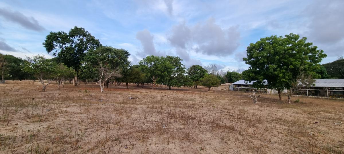 3 ac Land at Creekside - 1