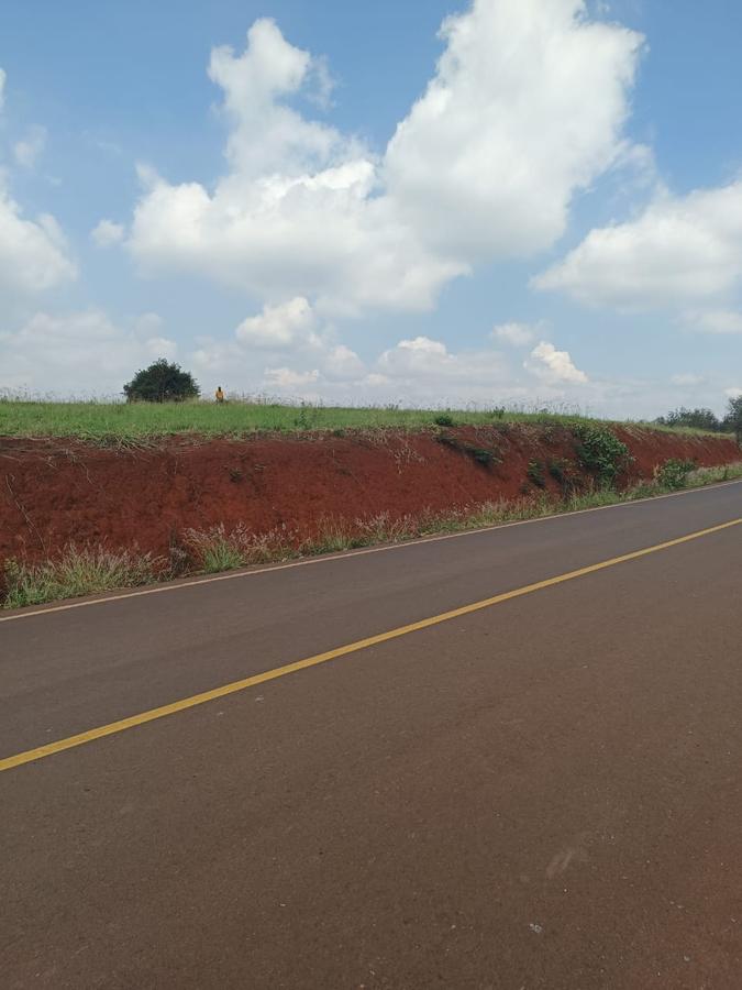 5 ac Land at Near Tatu City - 3