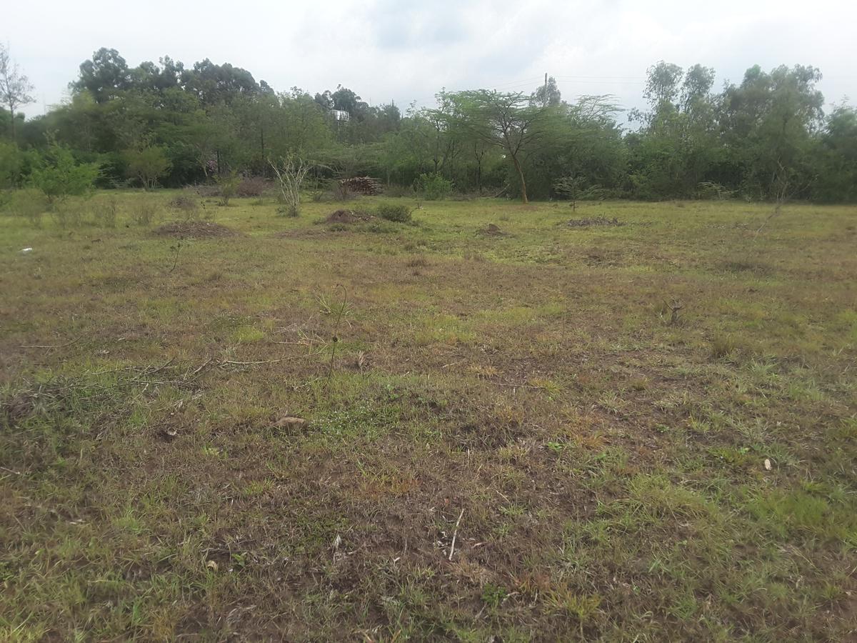 0.5 ac Residential Land in Karen - 4