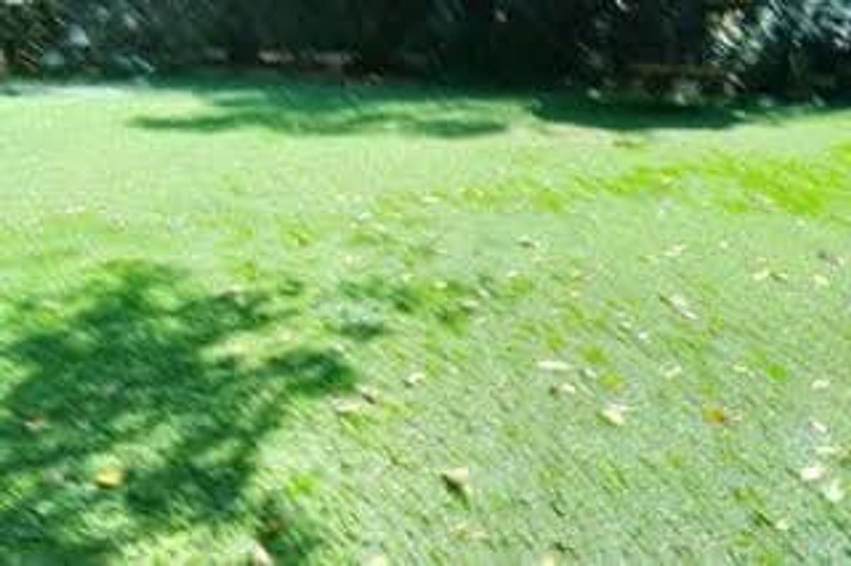 1 ac Residential Land at Mzima Spring - 3