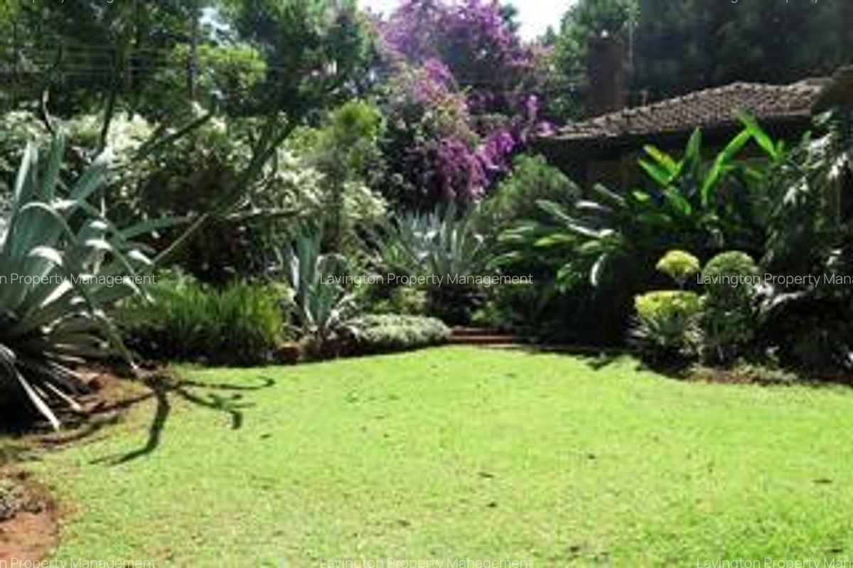 0.78 ac Land at Chalbi Drive - 11