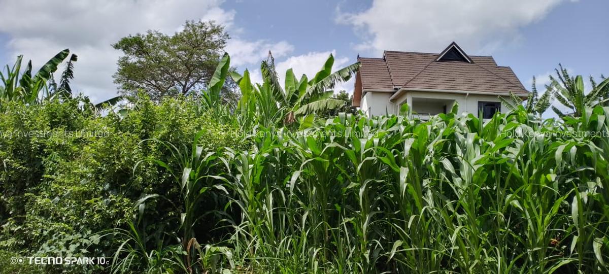 0.25 ac Residential Land at River Side Drive - 3