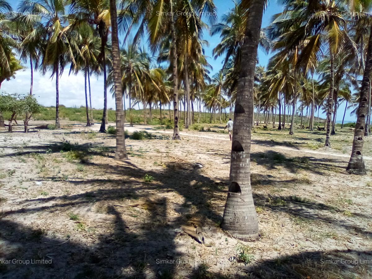 25 ac Land at Kikambala Beach - 8