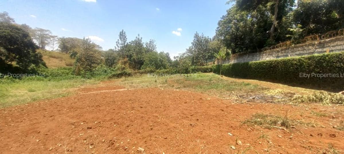 0.5 ac Residential Land at Muthithi - 8
