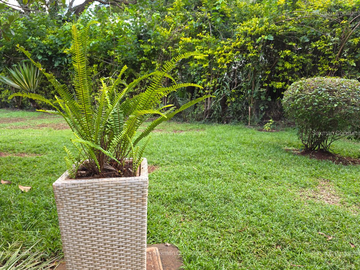 Land in Dennis Pritt - 6