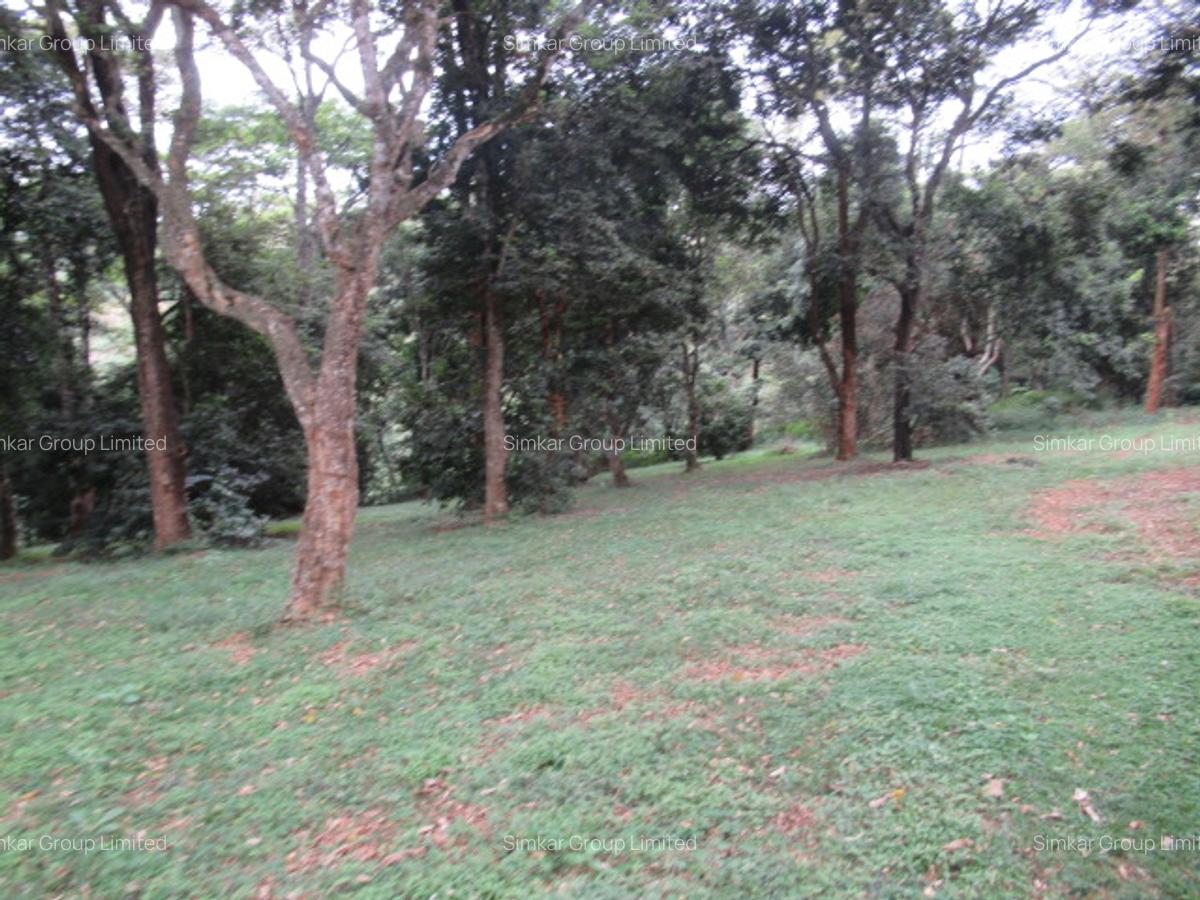 4 ac Land at Mushroom Gardens - 4