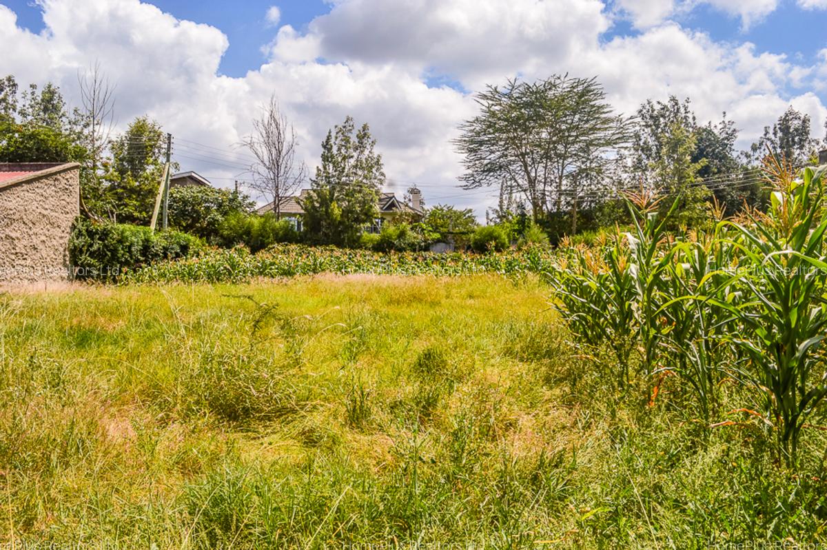 Residential Land at Ole Pasha Drive - 2