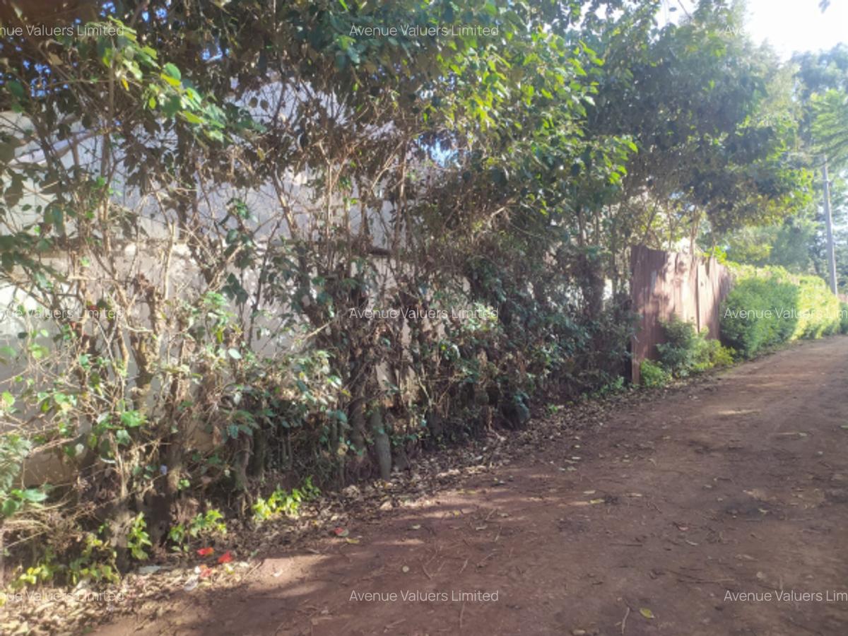 Land at Ruaka Road - 4