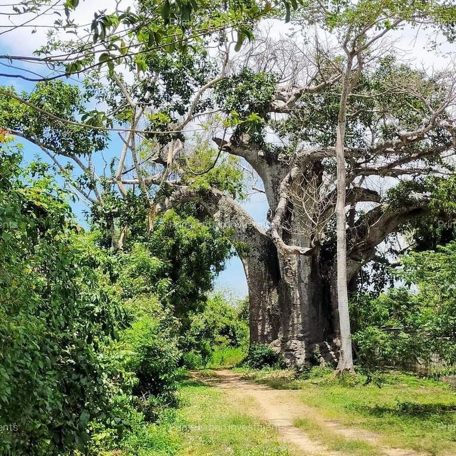 Land in Vipingo - 12