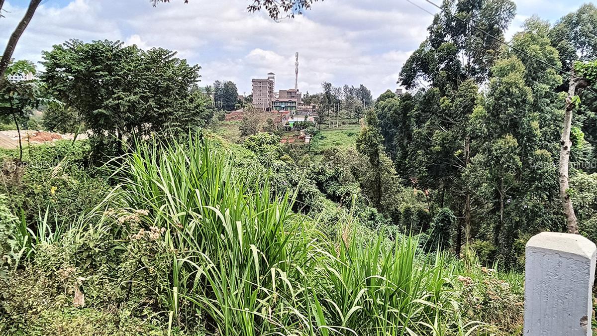 0.741 ac Land in Ruaka - 3