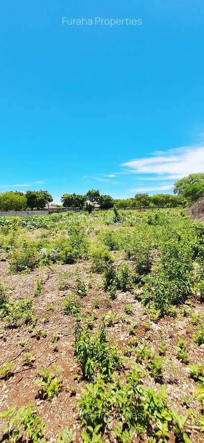 Land at Diani Beach - 7