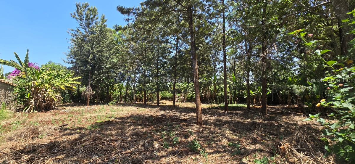 Residential Land at New Kitisuru - 6