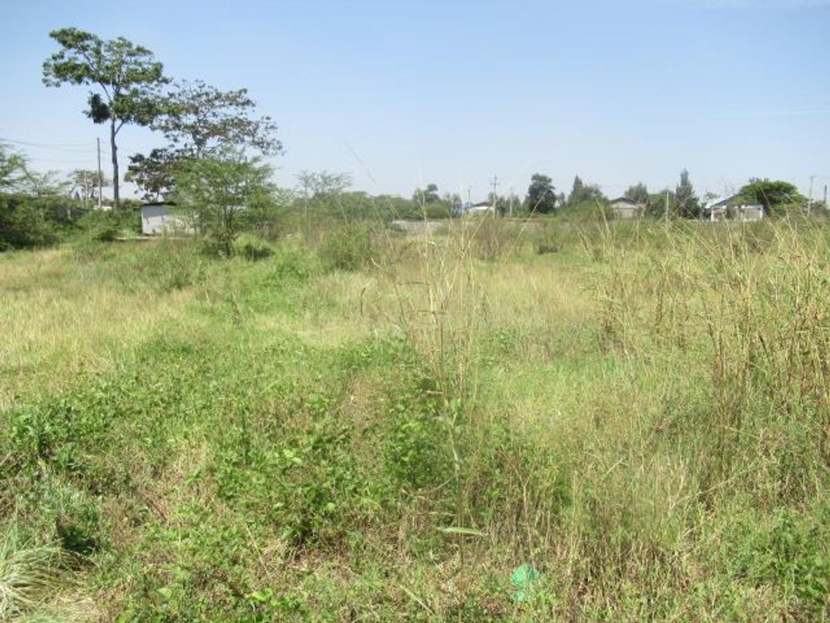 23,796 m² Commercial Land at Nyasa Road - 7