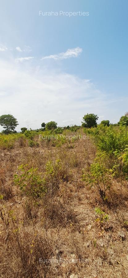 Land at Vipingo - 18