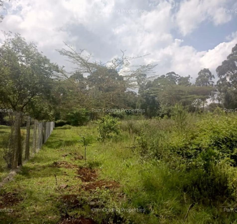 0.5 ac Residential Land in Karen - 1