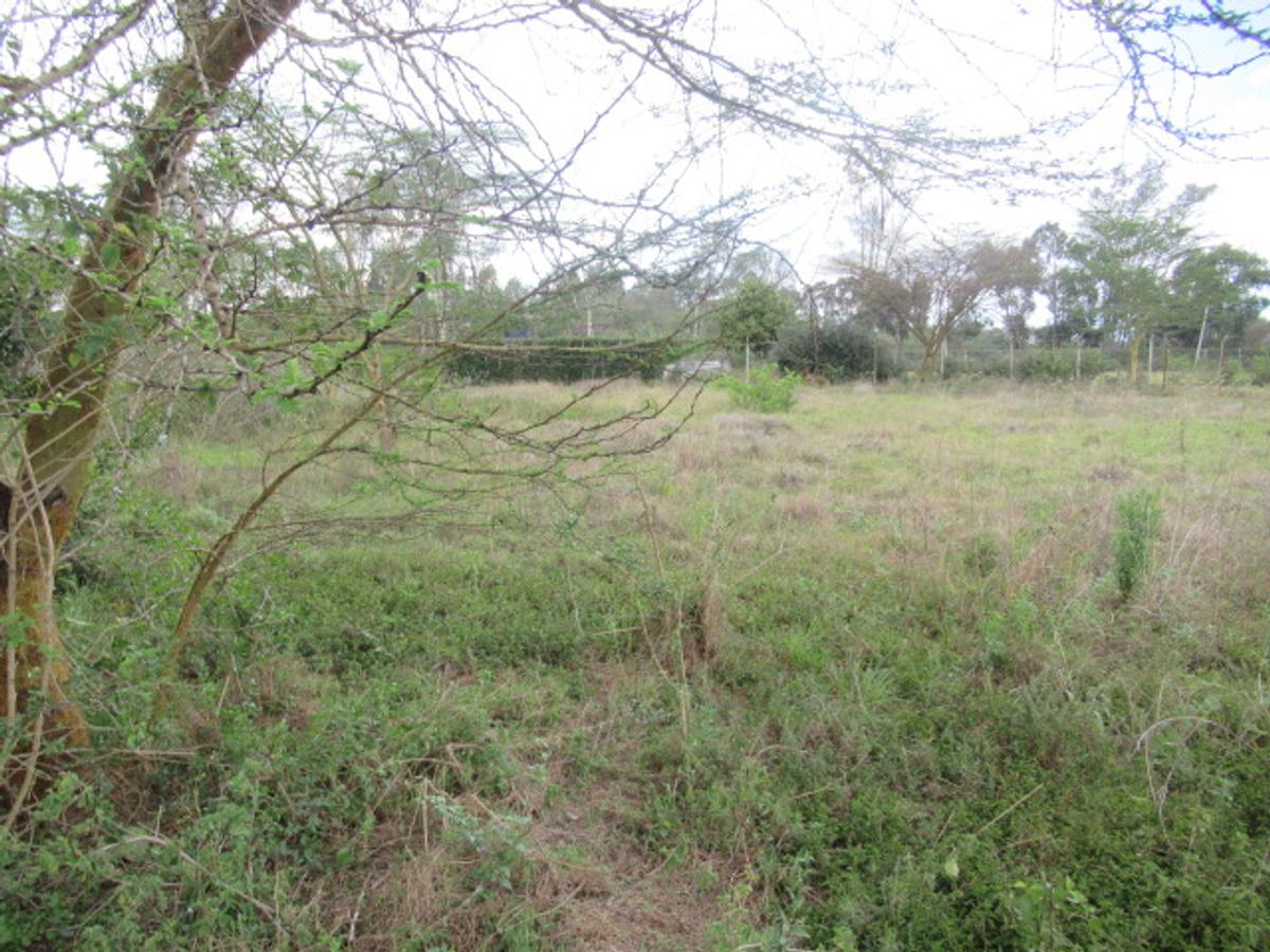 Land at Banda Ln - 3