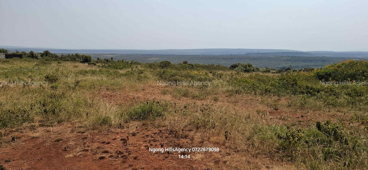Land in Ngong - 9