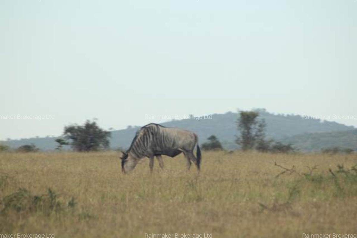 Land in Mombasa Road - 16
