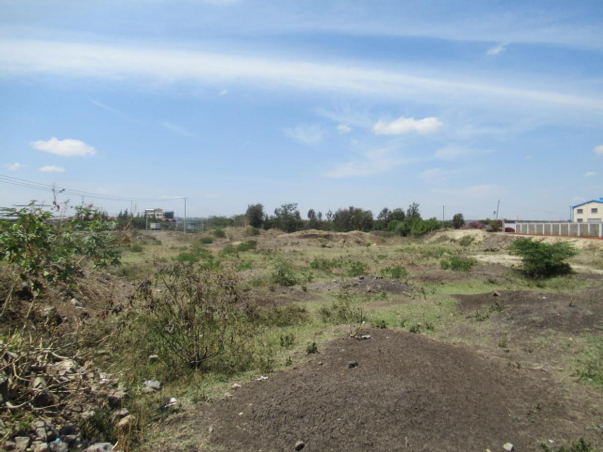 Land at Eastern Bypass - 3