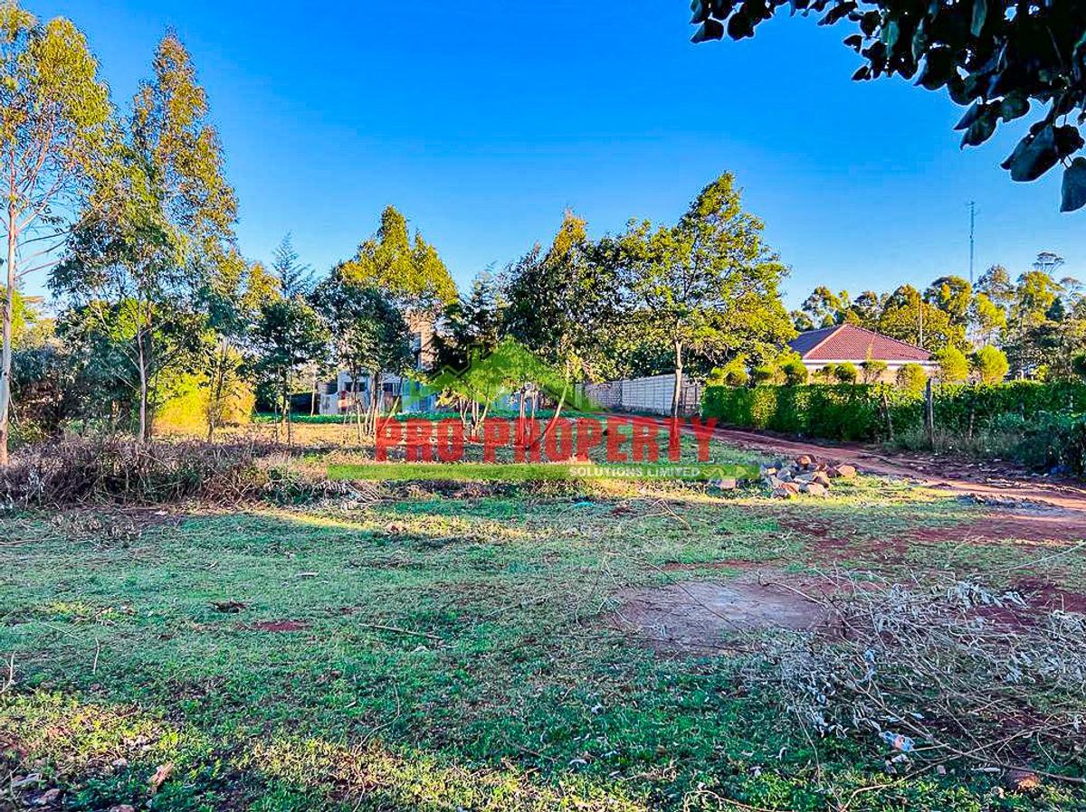 0.05 ha Residential Land in Kikuyu Town - 9