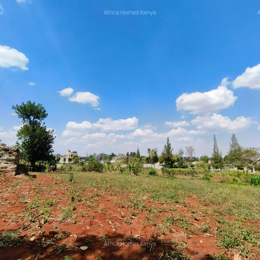 Residential Land at Ruiru Mhasibu - 3