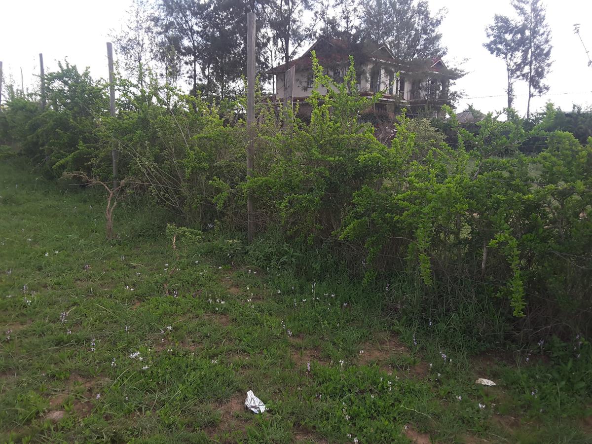 0.25 ac Land in Ongata Rongai - 6