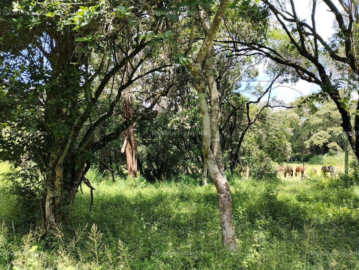 100 ac Land at Thika Road - 4