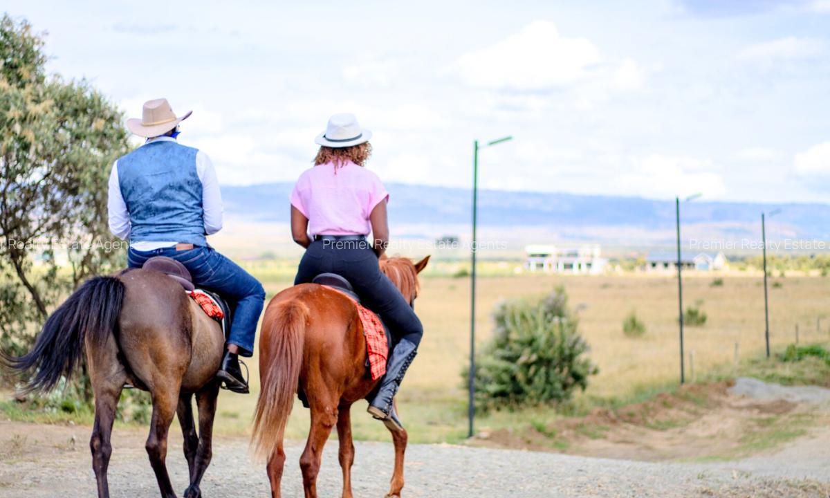 0.4 ac Residential Land at Naivasha - 13