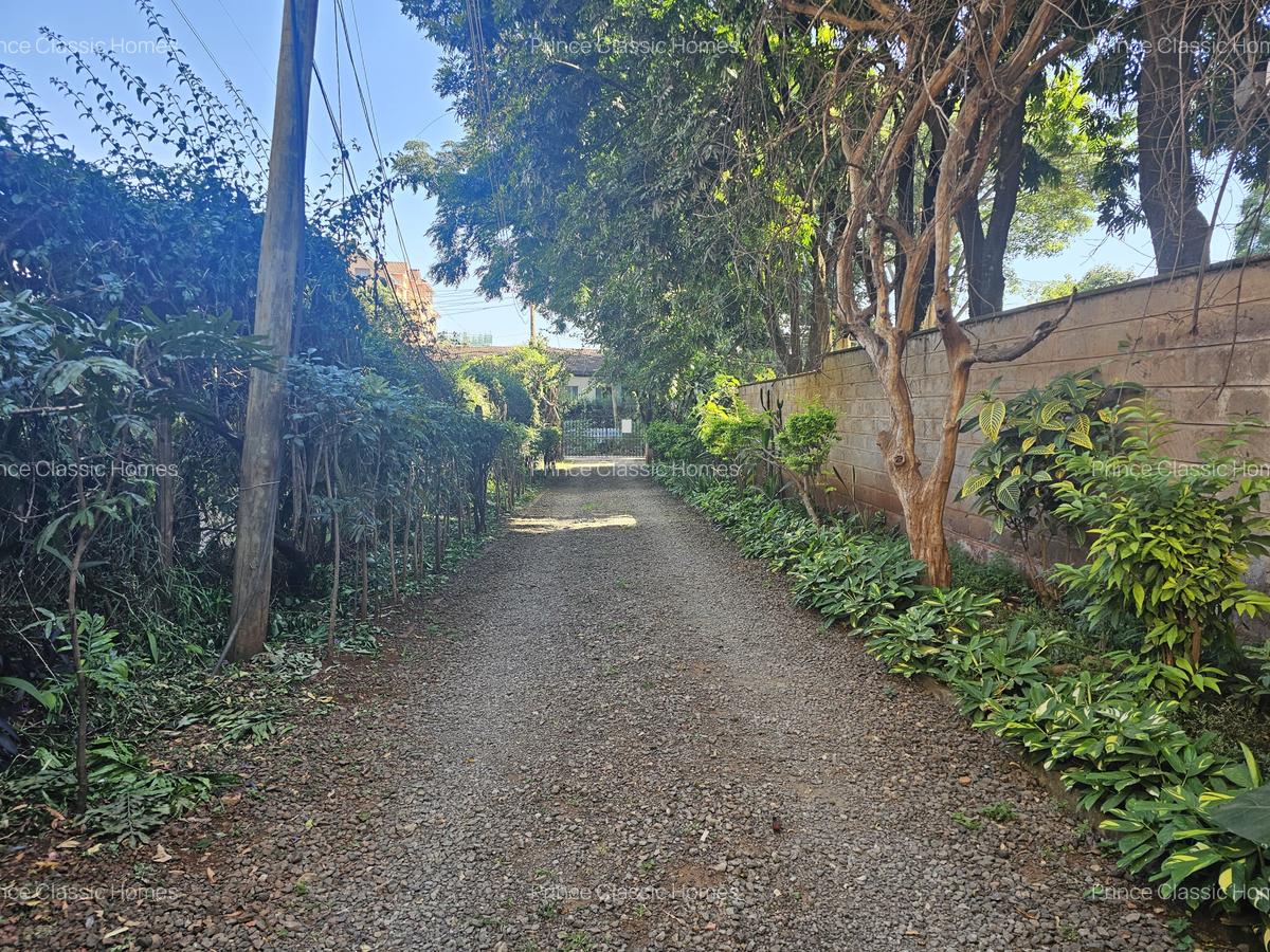 0.3 ac Land at Mutati Road - 4