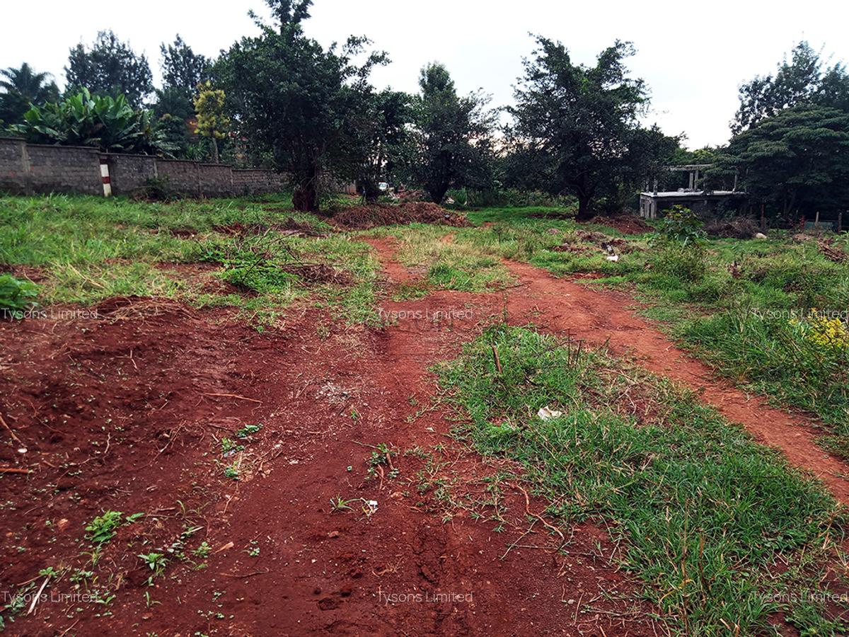 Land in Thindigua - 4