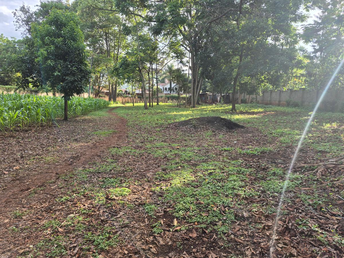 Land in Thigiri - 4