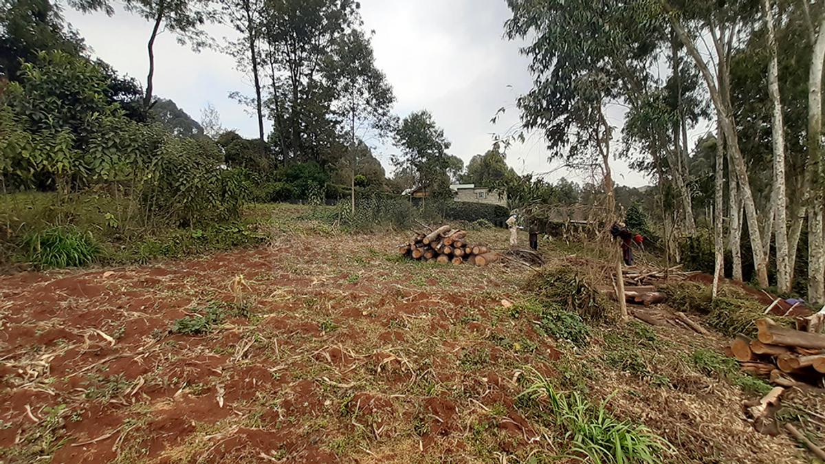 0.125 ac Land in Limuru - 3