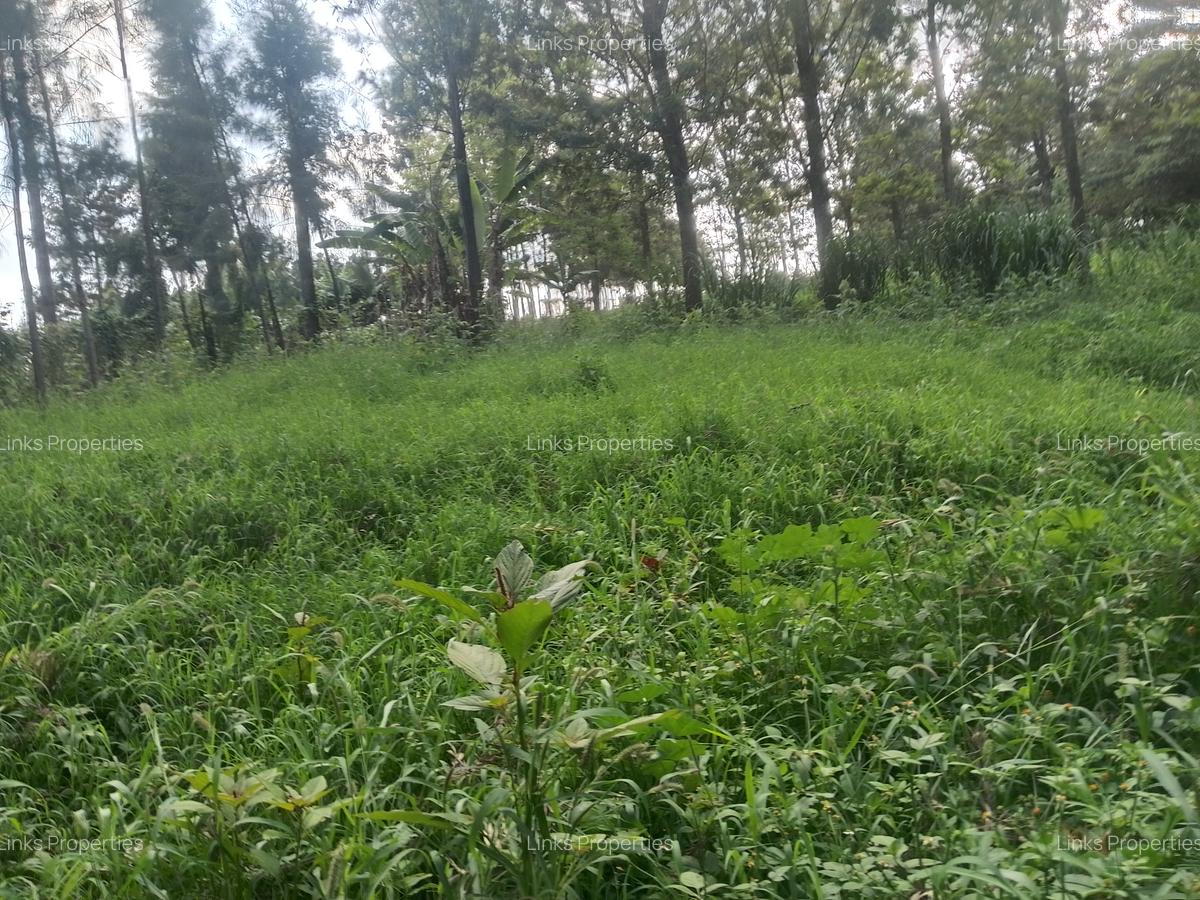 Land at Kibiko Ngong - 12
