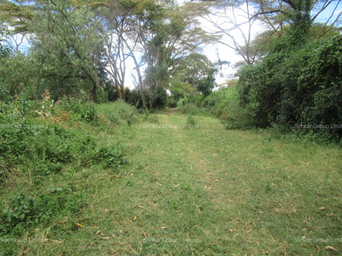 25 ac Land at Moi S Lake Rd - 15