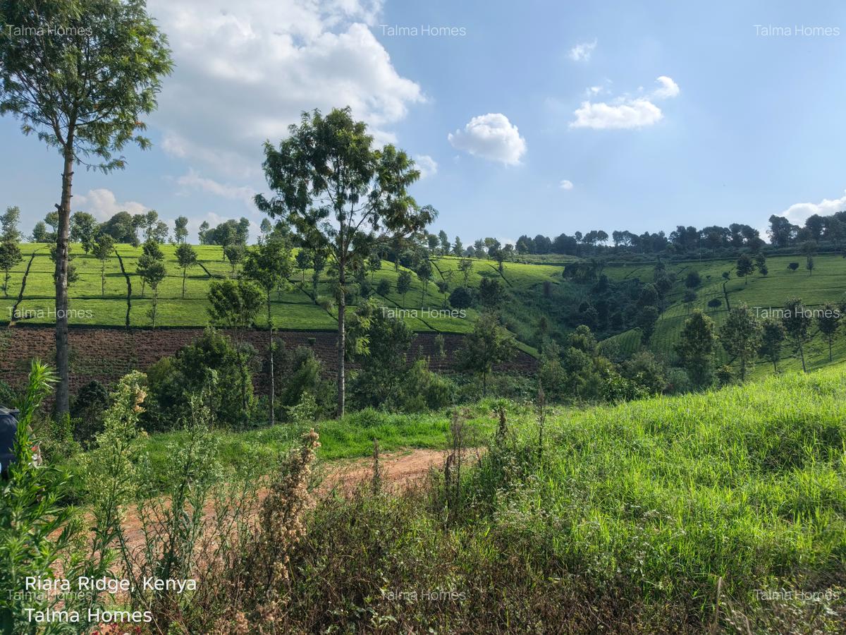 Land at Tigoni - 10