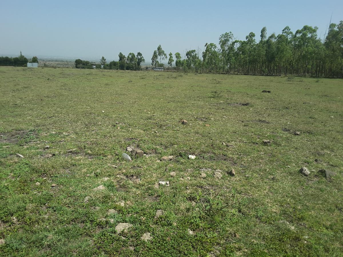 2 ac Residential Land in Ongata Rongai - 11