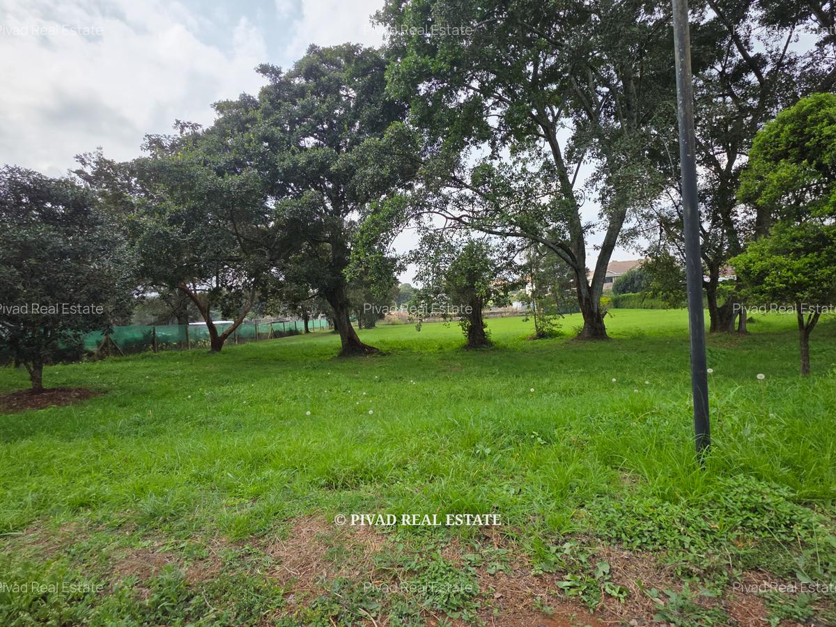 1 ac Land in Karen - 2