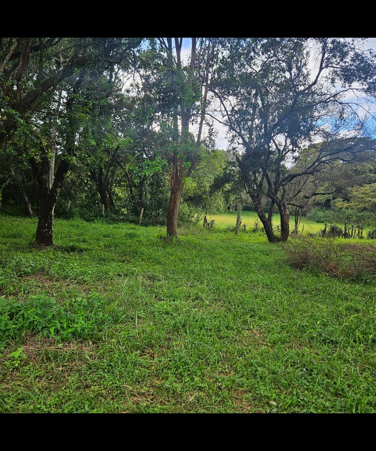 land in karen