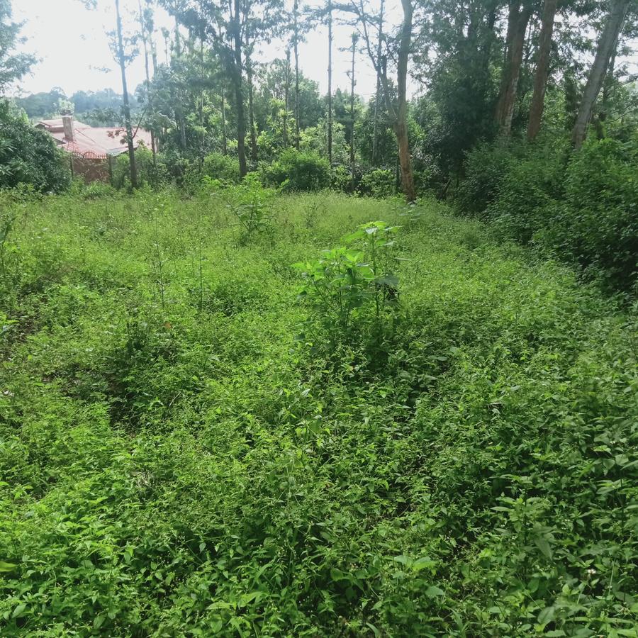 0.25 ac Land at Ngong - 4