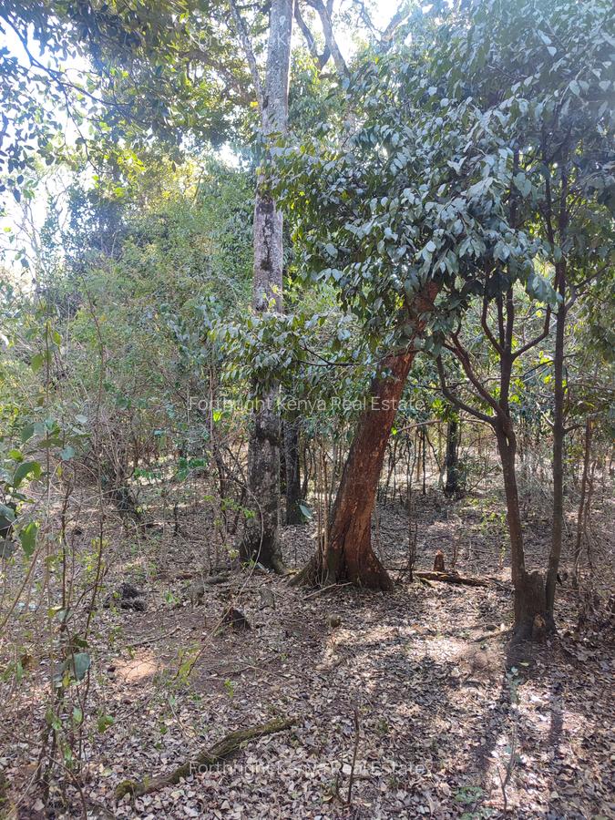 2.3 ac Land at Giraffe Centre - 8