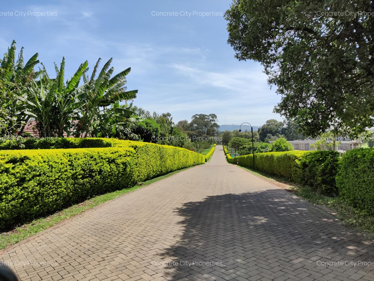 1 ac Land in Karen - 3