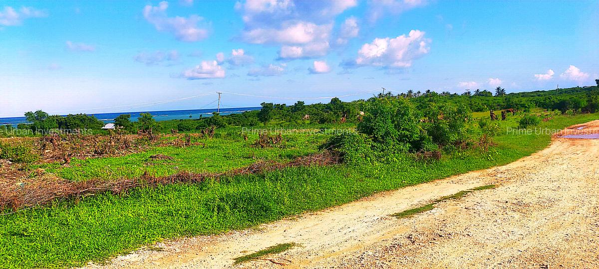 Land in Kikambala - 18