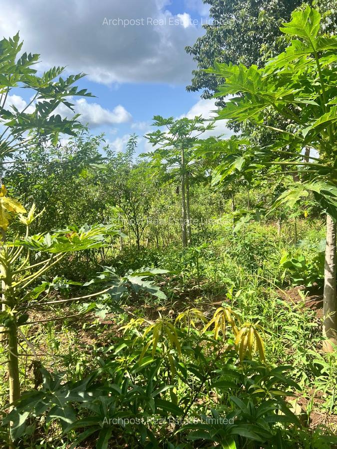 2 ac Land at Karingani - 8