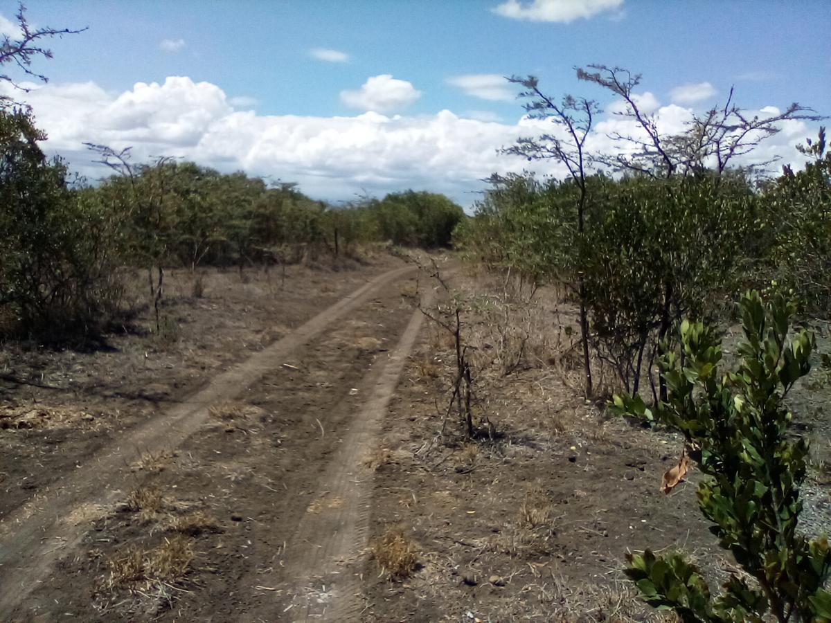 Land at Nanyuki - 13