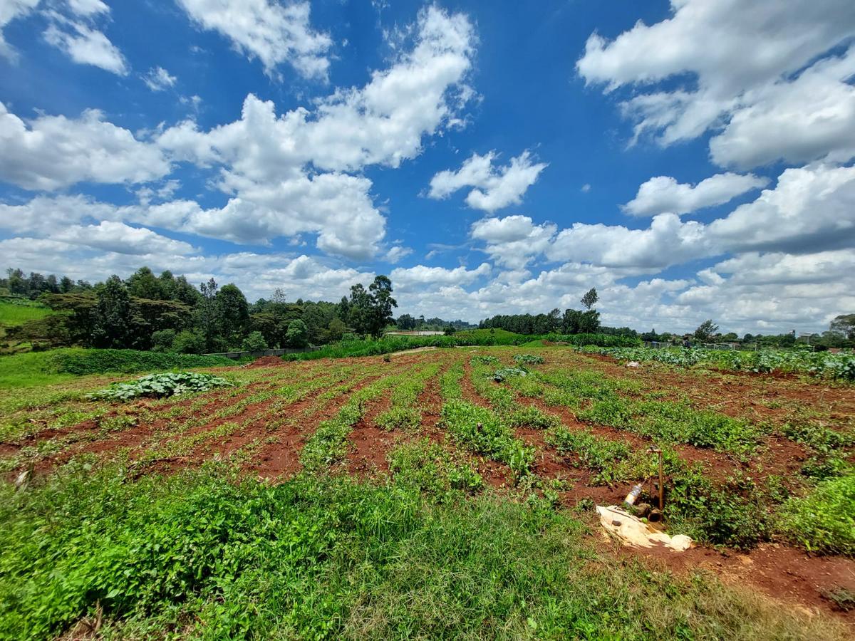 Land at Pan African Insurance Avenue - 1