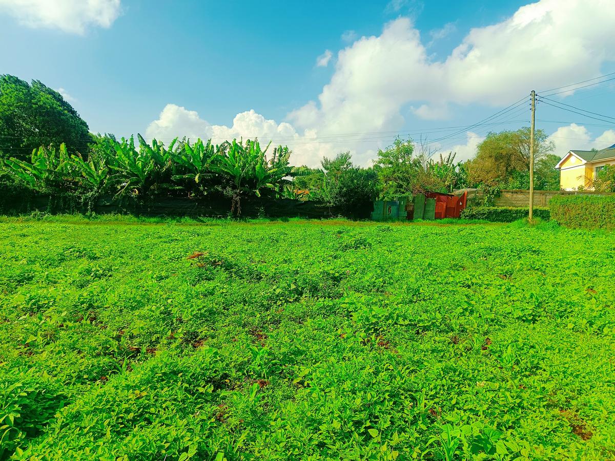 1,000 m² Residential Land at Ondiri - 2