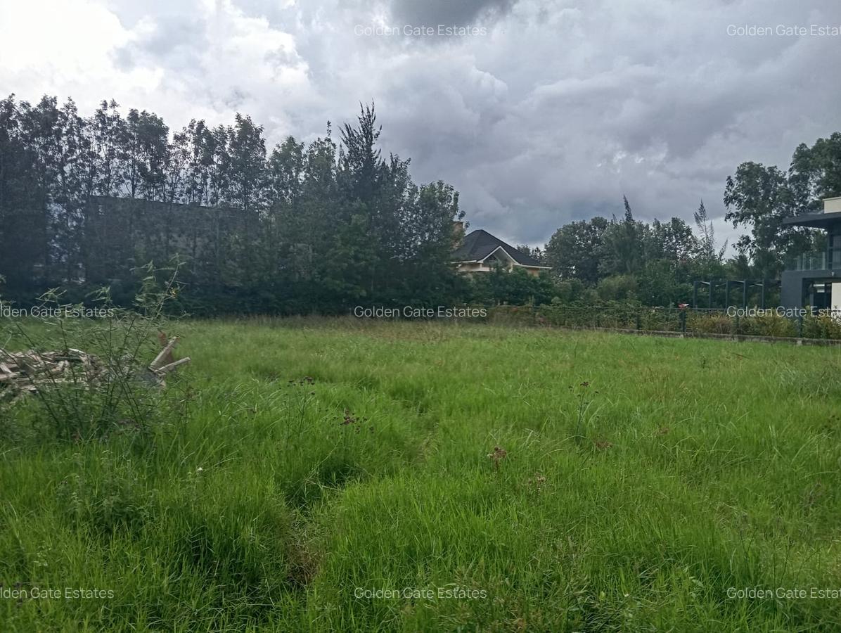 0.5 ac Residential Land in Karen Hardy - 3