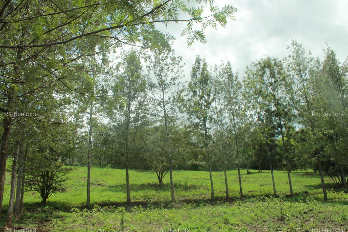 1 ac Land at Ngong - Matasia - 5