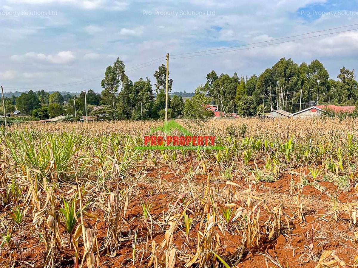 0.05 ha Residential Land in Kamangu - 14