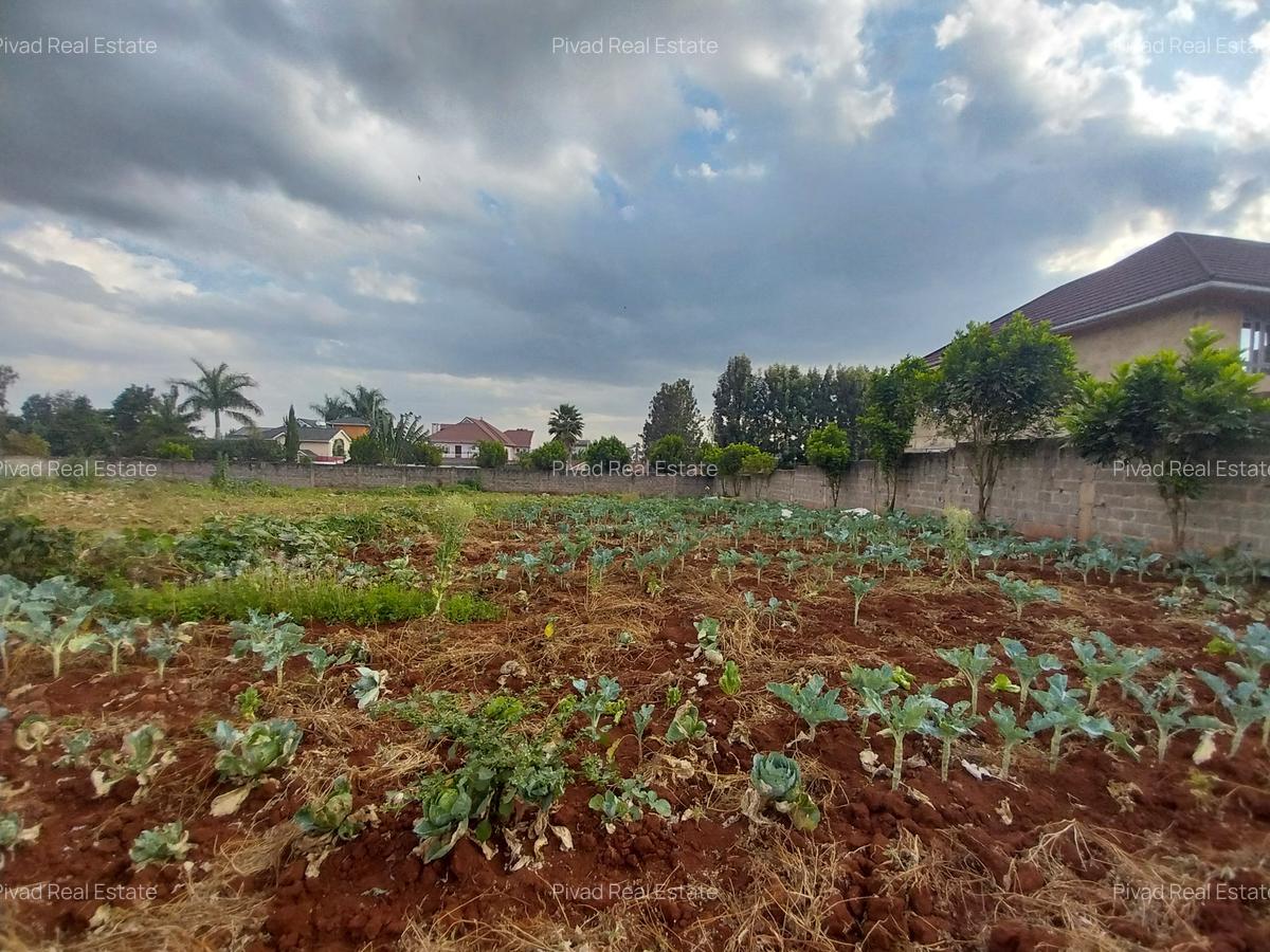 0.5 ac Land in Runda - 1